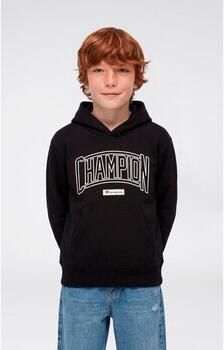 Champion Capuchon sweaters Hooded Sweatshirt