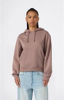 Champion Capuchon sweaters Hooded Sweatshirt