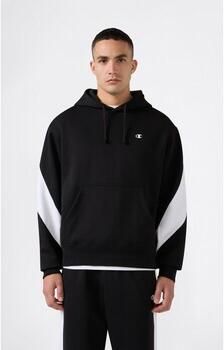 Champion Capuchon sweaters Hooded Sweatshirt