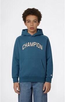 Champion Capuchon sweaters Hooded Sweatshirt