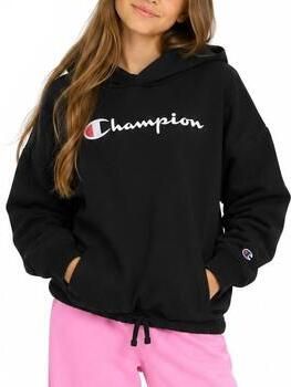 Champion Capuchon sweaters Hoodie