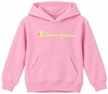 Champion Capuchon sweaters Hoodie