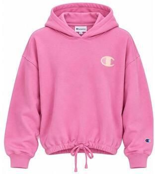 Champion Capuchon sweaters Hoodie