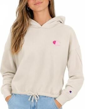 Champion Capuchon sweaters Hoodie