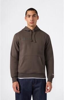 Champion Capuchon sweaters Hoodie Sweatshirt