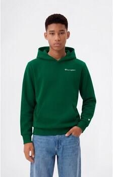Champion Capuchon sweaters Hoodie Sweatshirt