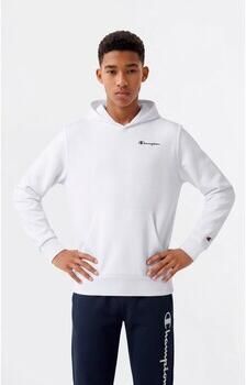 Champion Hoodie met label-stitchings en kangoeroezak - Foto 6