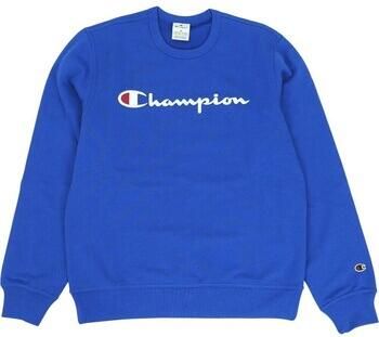 Champion Sweater B24183