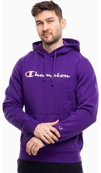 Champion Sweater B24199