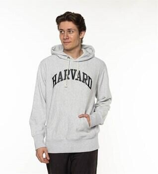 Champion Lichtgrijze Sweater Hooded Sweatshirt 218030 - Foto 3