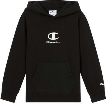 Champion Sweater Hooded Sweatshirt