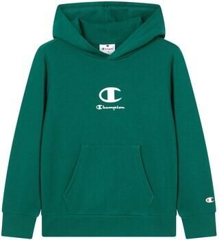 Champion Sweater Hooded Sweatshirt