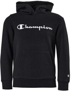 Champion Sweater Hooded Sweatshirt