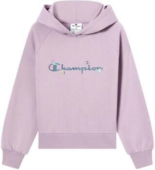 Champion Sweater Hooded Sweatshirt