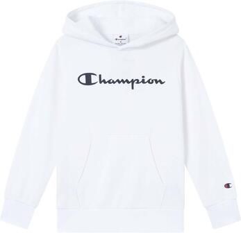 Champion Sweater Hooded Sweatshirt