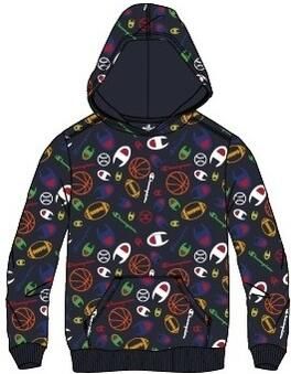 Champion Sweater Legacy