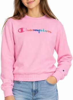 Champion Sweaters Crew