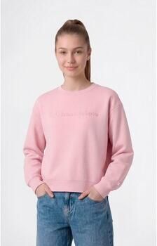 Champion Sweaters Crewneck Sweatshirt