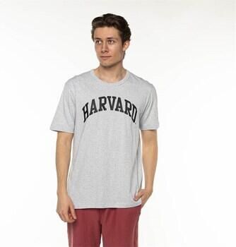 Champion T-shirt Harvard Grijs Heren - Foto 2