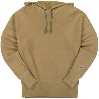 Champion Sweater Reverse Weave Small Script Logo Hooded Sweatshirt