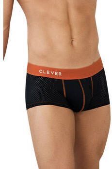 Clever Boxers Latin Boxer Line