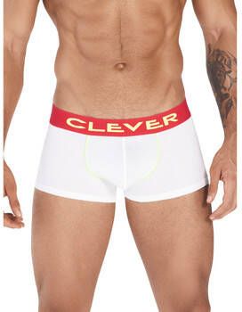 Clever Boxers Latin Boxer Trend