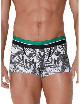 Code 22 Boxers Boxer Palm Boom Code22