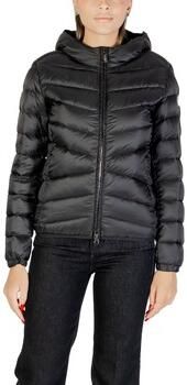 Colmar Blazer 2219 2YO