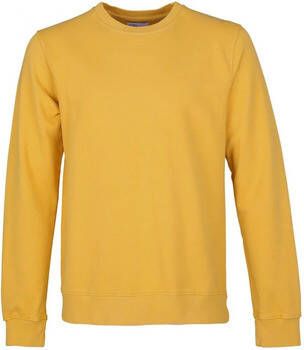 Colorful Standard Sweater Geel