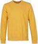 Colorful Standard Sweater Geel - Thumbnail 1