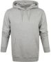 Colorful Standard Classic Organic Hoodie Grijs Heren - Thumbnail 1