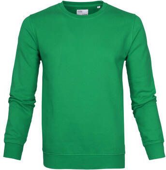 Colorful Standard Sweater Kelly Green