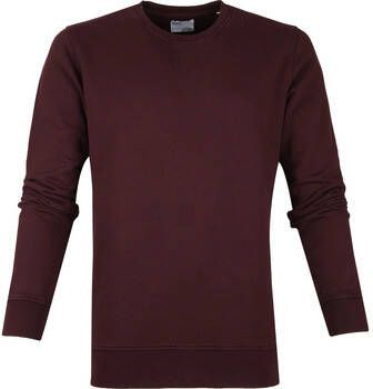 Colorful Standard Sweater Organic Bordeaux