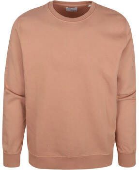 Colorful Standard Sweater Organic Bruin
