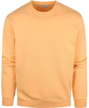 Colorful Standard Sweater Organic Licht Oranje