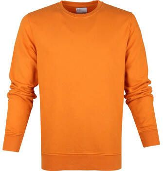 Colorful Standard Sweater Organic Oranje