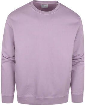 Colorful Standard Sweater Organic Paars
