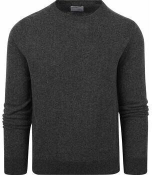 Colorful Standard Sweater Trui Merino Antraciet