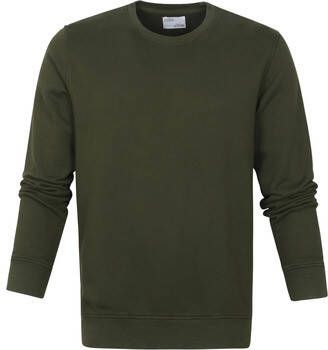 Colorful Standard Sweater Zeewier Groen