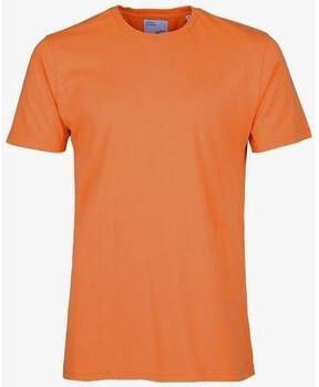 Colorful Standard T-shirt Korte Mouw T-shirt Burned Orange