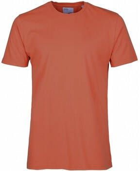 Colorful Standard T-shirt Korte Mouw T-shirt Classic Organic dark amber