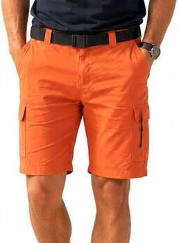 Columbia Korte Broek Silver Ridge