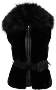 Dare 2b Windjack