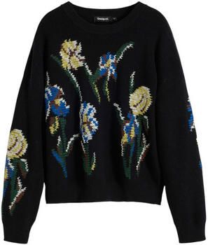 Desigual Trui JERS_COOPER 25WWJF36
