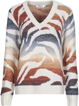 Desigual Trui JERS_WASILLA 25WWJF21