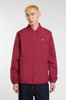 Dickies Blazer 178142