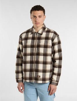 Dickies Blazer Florence oversized shacket