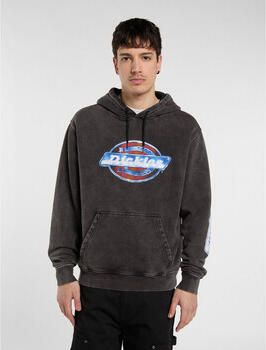 Dickies Capuchon sweaters Coolidge hoodie