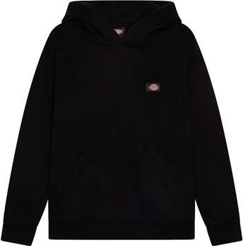 Dickies Capuchon sweaters