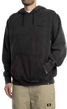 Dickies Plentywood Hoodie men Hoodies & Sweaters zwart Maat XL Kleding - Foto 4